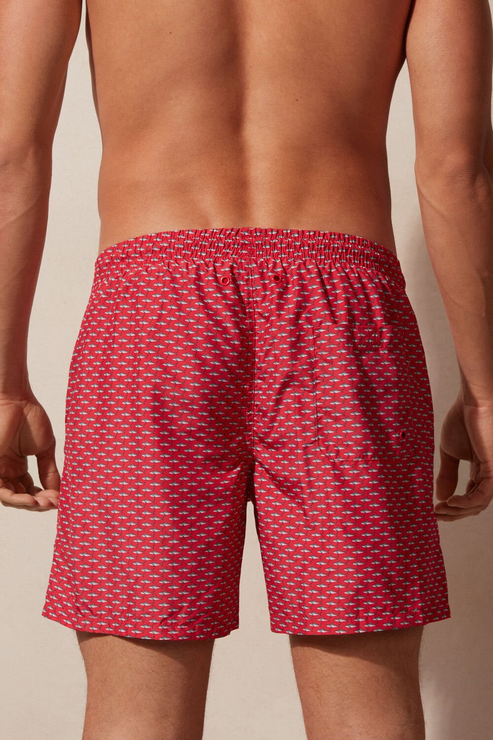 Intimissimi Micro Shark Print Swim Trunks Rood | PTXWU2538