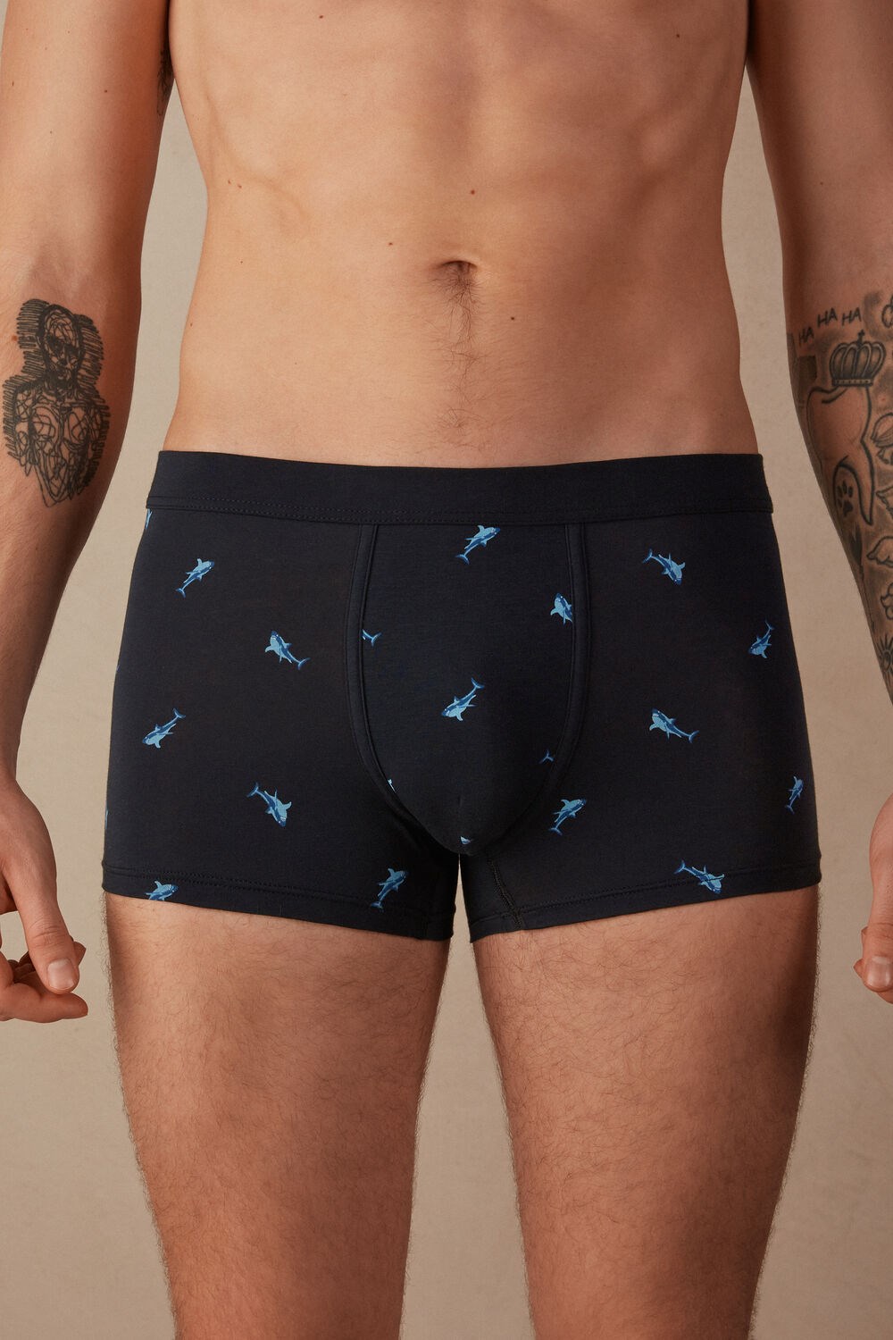 Intimissimi Shark Boxers in Natural Fresh Supima® Katoenen Blauw Blauw | IZXBP7941